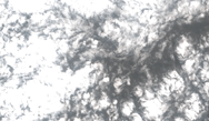 image of cloud switching to labeled image of cloud