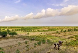 Farms in Volta Region, Ghana in 2011. 