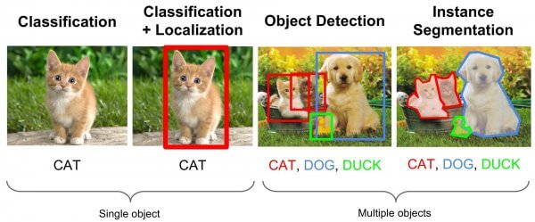 image segmentation versus classification