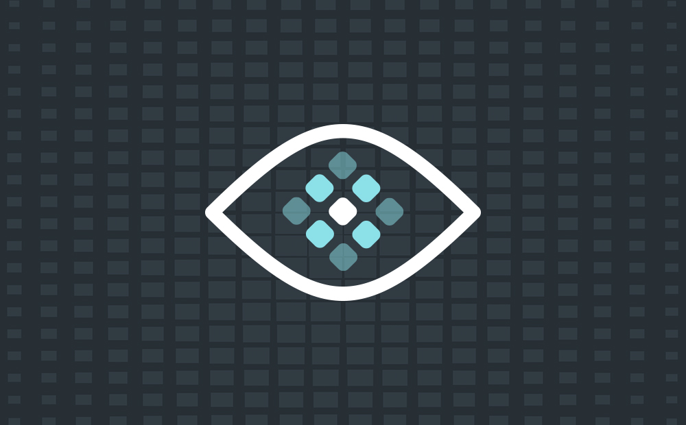 Raster Vision logo
