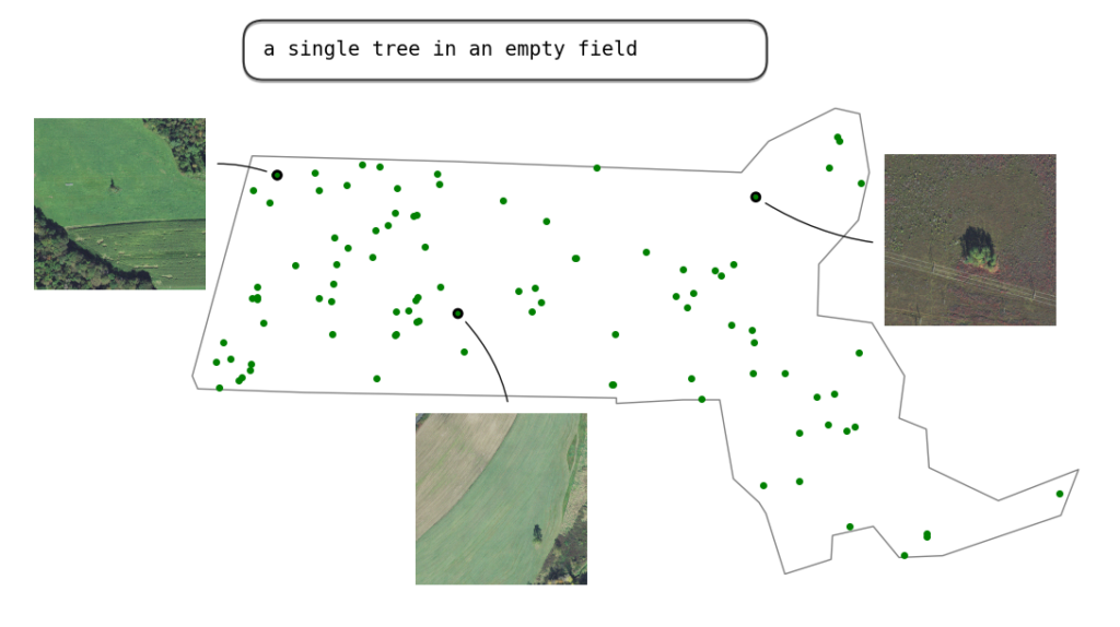 qe_naip_tree An outline of the state of Massachusetts with several locations noted on the map depicting a single tree in an empty field.