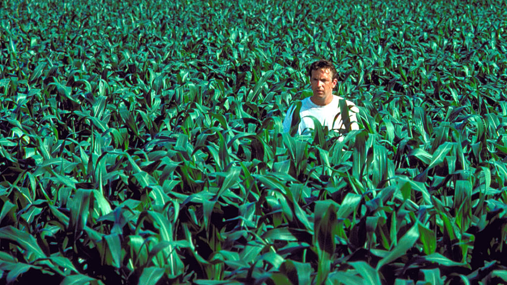 A man in a field of corn.